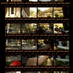Backyard by Cris Baczek Backyard by Cris Baczek