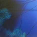 Blue Series #2 by Carrie Wilson