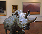 Black Rhino by Michael Coleman