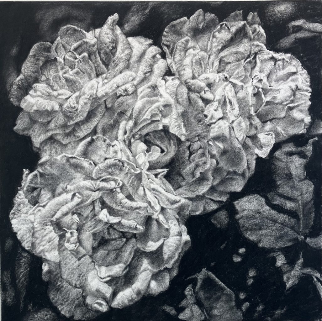 Black-and-white conté crayon drawing of overlapping rose blossoms, rendered in dense, layered textures against a dark background.