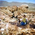 Amanda Moore with Willie and Rocko outside of Delta, Utah