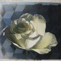035