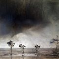 Van_Chu_Mushrooms_and_Trees_4
