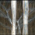 Birchlings__19__36X48