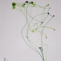 Brooks_K_Image2