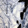 ZackPontiousdetail