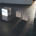 cIMG_6215