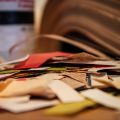 IMG_6655