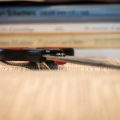 IMG_6674