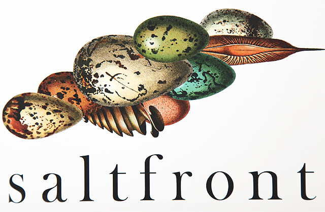 saltfront_blog