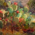K_STATS_10X20_ZION_PRICKLY__3000_rsw