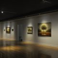 galleryshot