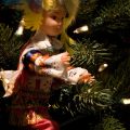 Trees_of_Diversity_Mexico_and_Its_Traditions
