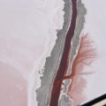 7354132_orig