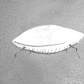 Ship_in_the_water_stars_blkwht