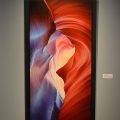 desertrose24x48