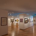 WideShotMultipleGalleries