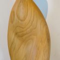 Suzuki Torso