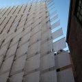 pages_in_sunlight