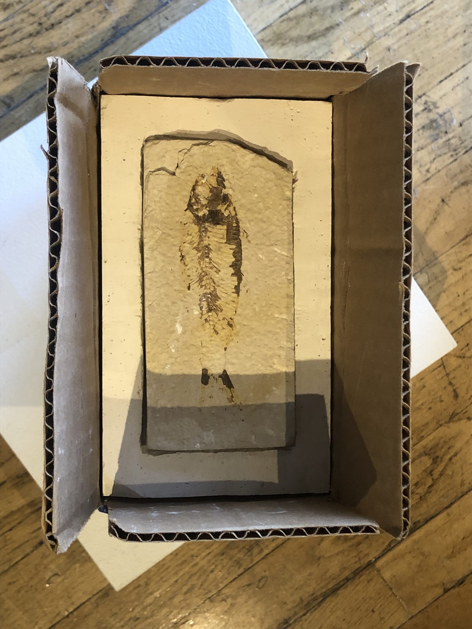 Sediment II