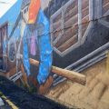 IMG_9541