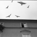 zivny 3