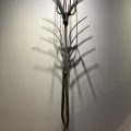 Crown of Thorns