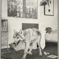 Hazel’s Room