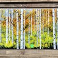 Barbara Busche Aspen Grove