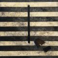 Horsehair_Study_36x36