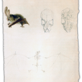 fig. 8 Bats.a