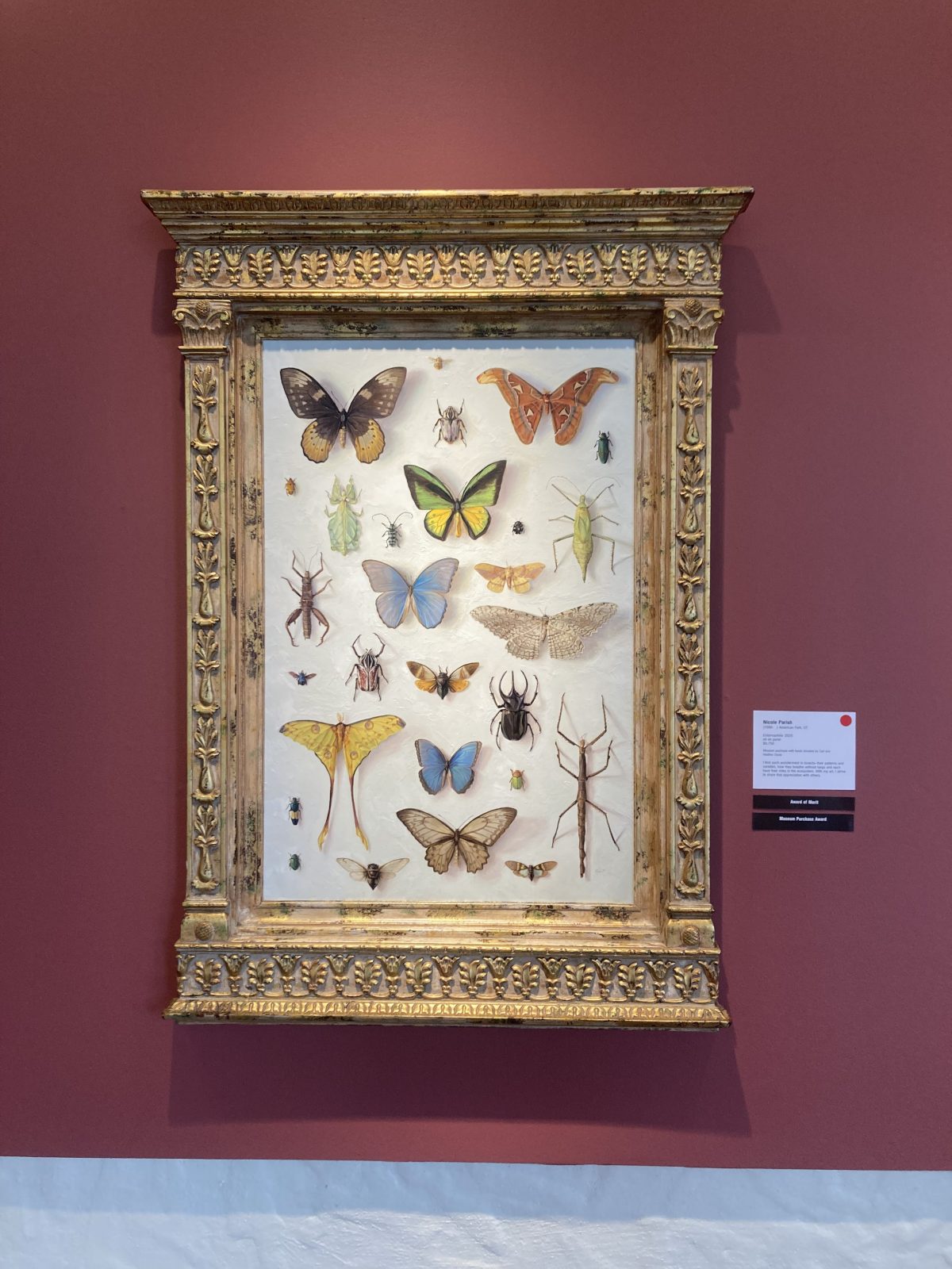 Framed painting by Nicole Parish featuring a detailed arrangement of insects including butterflies, beetles, moths, and stick insects, displayed against a cream background and hung on a deep red wall at the Springville Museum of Art.