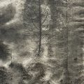 Ecotone