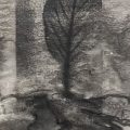 Ecotone-Leaf & River