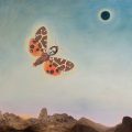 Suzanne Sbarge_Moth II_2023_42x36