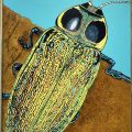 Boring Beetle