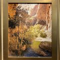 In the Shade:Zion
