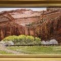 Orchard Capital Reef
