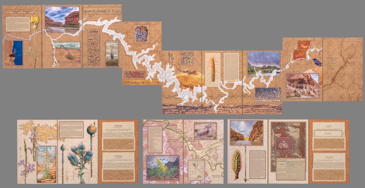 Spread of Jim Frazer’s artist book San Juan, showing multiple accordion-fold panels printed with map-like textures, topographical lines, and landscape photographs. The cover features a cracked, sandstone-like surface with the title “San Juan.”