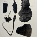 Dark Things Found in Urban Environments