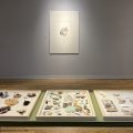 Installation