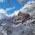 Zion 20221213_130927