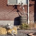 IMG_4045 (1)