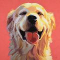 as-sweet-as-cotton-candy-by-cristall-harper-is-18×18-for-2600