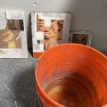 IMG_5522