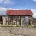 IMG_6554