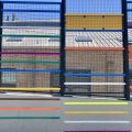 IMG_6910