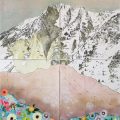 3-mountain-flowers