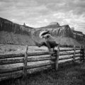 5-fence-jump-bw